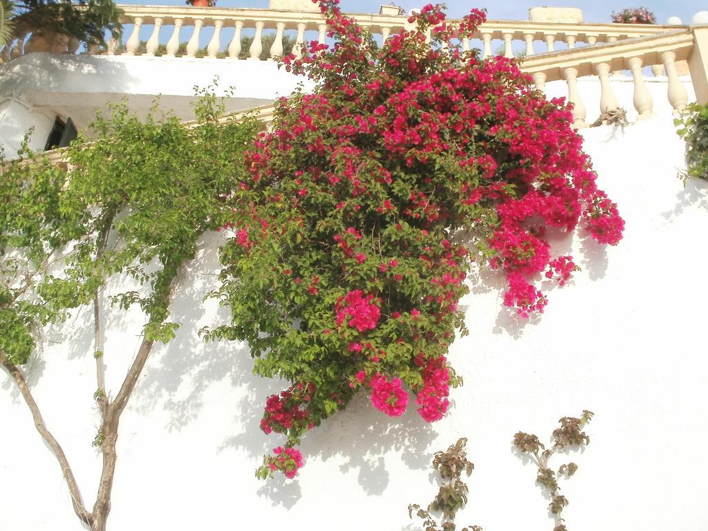 Oniro Villas Korfu Dış mekan fotoğraf